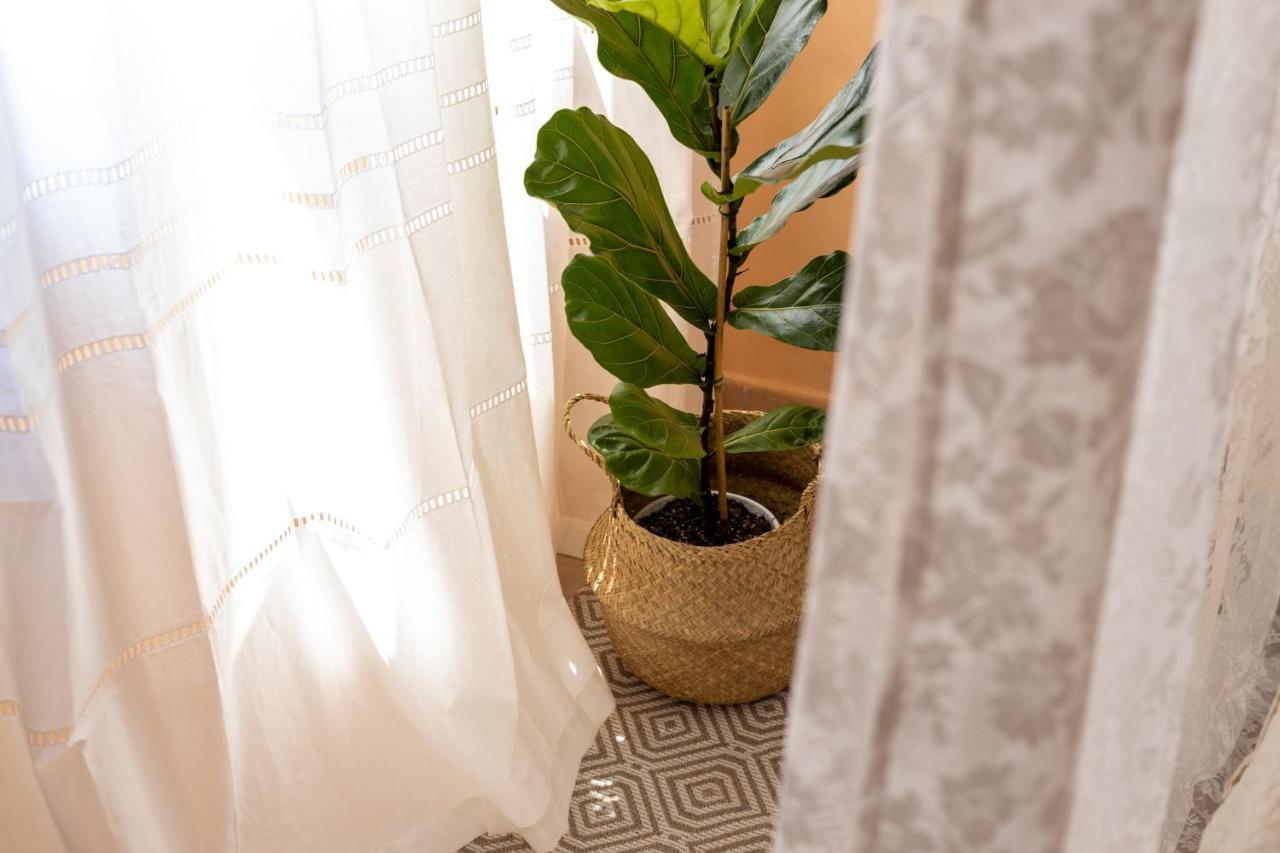 Appartamento Mediterranean House - 12 Min From Acropolis! Atene Esterno foto